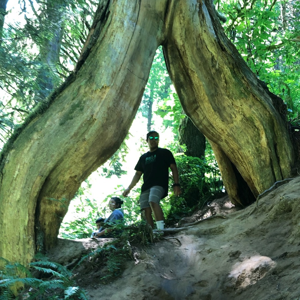 Meet your Posher, Shawn